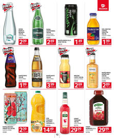 Selgros gazetka Strona 13