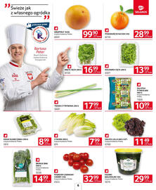 Selgros gazetka Strona 6