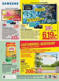 Maximarkt Flugblatt woche 31 Seite 20