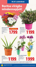 Lidl akciós újság hét 32 Oldal 16