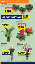 ALDI akciós újság hét 32 Oldal 8