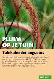 Intratuin folder week 32 Pagina 6