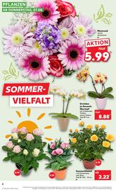 Kaufland Prospekt woche 32 Seite 4