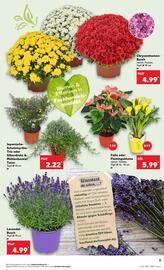 Kaufland Prospekt woche 32 Seite 5