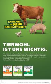 Kaufland Prospekt woche 32 Seite 58