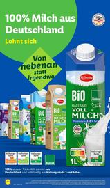 Lidl Prospekt woche 33 Seite 12