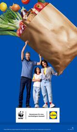 Lidl Prospekt woche 33 Seite 19
