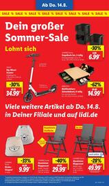 Lidl Prospekt woche 33 Seite 41