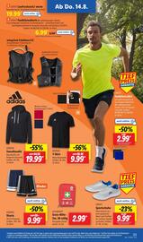 Lidl Prospekt woche 33 Seite 43