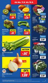 Lidl Prospekt woche 33 Seite 5