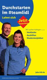 Lidl Prospekt woche 33 Seite 63