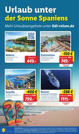 Lidl Prospekt woche 33 Seite 64