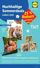 Lidl Prospekt woche 33 Seite 65