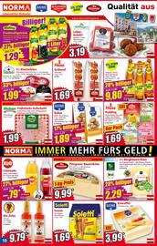 Norma Flugblatt woche 33 Seite 10