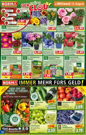 Norma Flugblatt woche 33 Seite 12