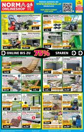 Norma Flugblatt woche 33 Seite 17