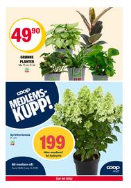Coop Extra Kundeavis uke 32 Side 19