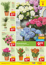 Netto Marken-Discount DE folder week 32 Pagina 9