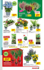 toom Baumarkt Prospekt Seite 3