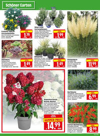 Edeka Herkules Prospekt woche 32 Seite 2