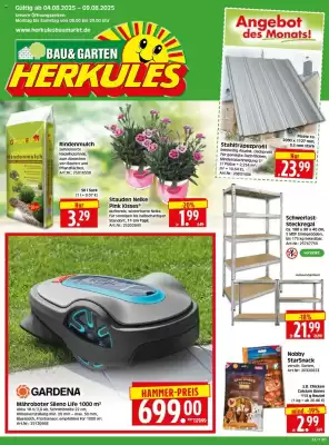 Edeka Herkules Prospekt (gültig bis 9-08)
