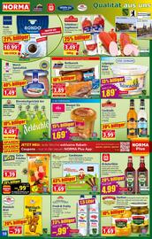 Norma Prospekt woche 33 Seite 10