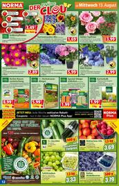 Norma Prospekt woche 33 Seite 12
