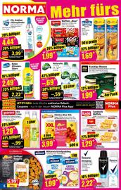 Norma Prospekt woche 33 Seite 6