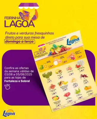Catálogo Super Lagoa