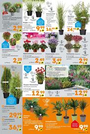 Globus Baumarkt Prospekt woche 32 Seite 3