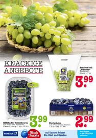 Scheck-in-Center Prospekt woche 32 Seite 2