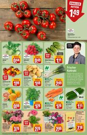 REWE Center Prospekt woche 32 Seite 7