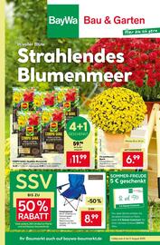 BayWa Prospekt woche 32 Seite 1