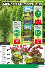 BayWa Prospekt woche 32 Seite 3