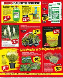 Repo Markt Prospekt woche 32 Seite 14