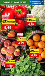 Lidl gazetka Strona 13