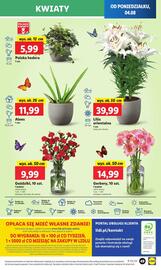 Lidl gazetka Strona 57