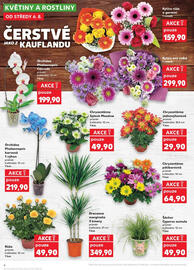 Kaufland leták týden 32 Strana 6
