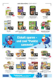 Hieber's Frische Center Prospekt Seite 13