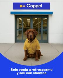 Catálogo Coppel semana 32 Página 1