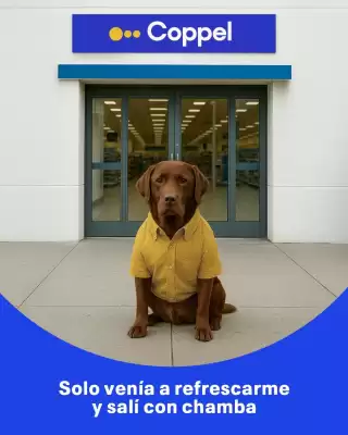 Catálogo Coppel (válido hasta 9-08)