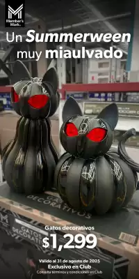 Catálogo Sam's Club (válido hasta 31-08)