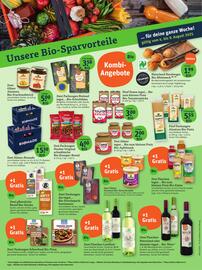 basic Prospekt Seite 2