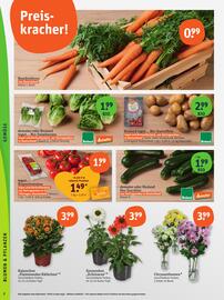basic Prospekt Seite 4