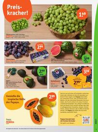 basic Prospekt Seite 5