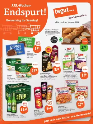 basic Prospekt (gültig bis 9-08)