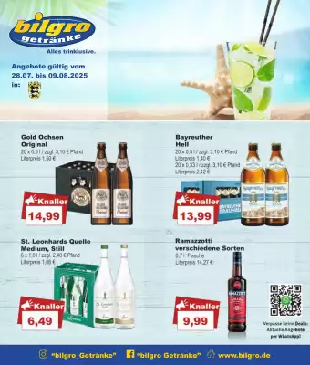 Bilgro Prospekt (gültig bis 9-08)