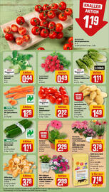 REWE Prospekt woche 32 Seite 5