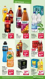 Wasgau Prospekt woche 32 Seite 21