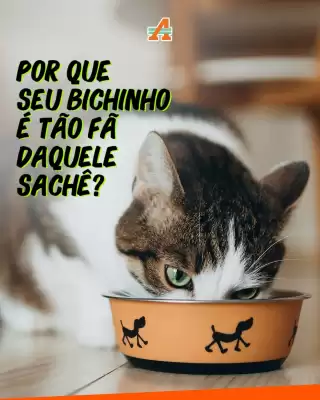 Catálogo Atacadão (válido até 4-08)